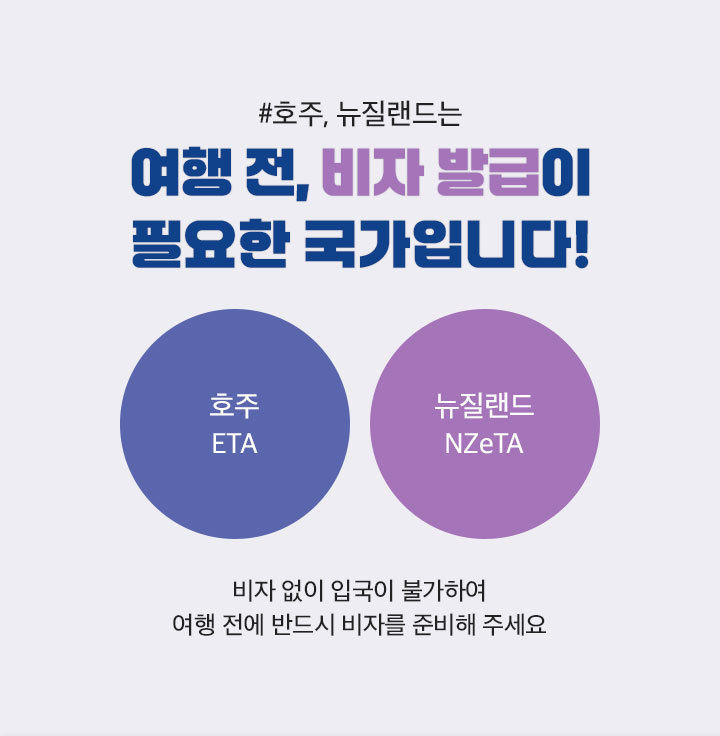 비자정보