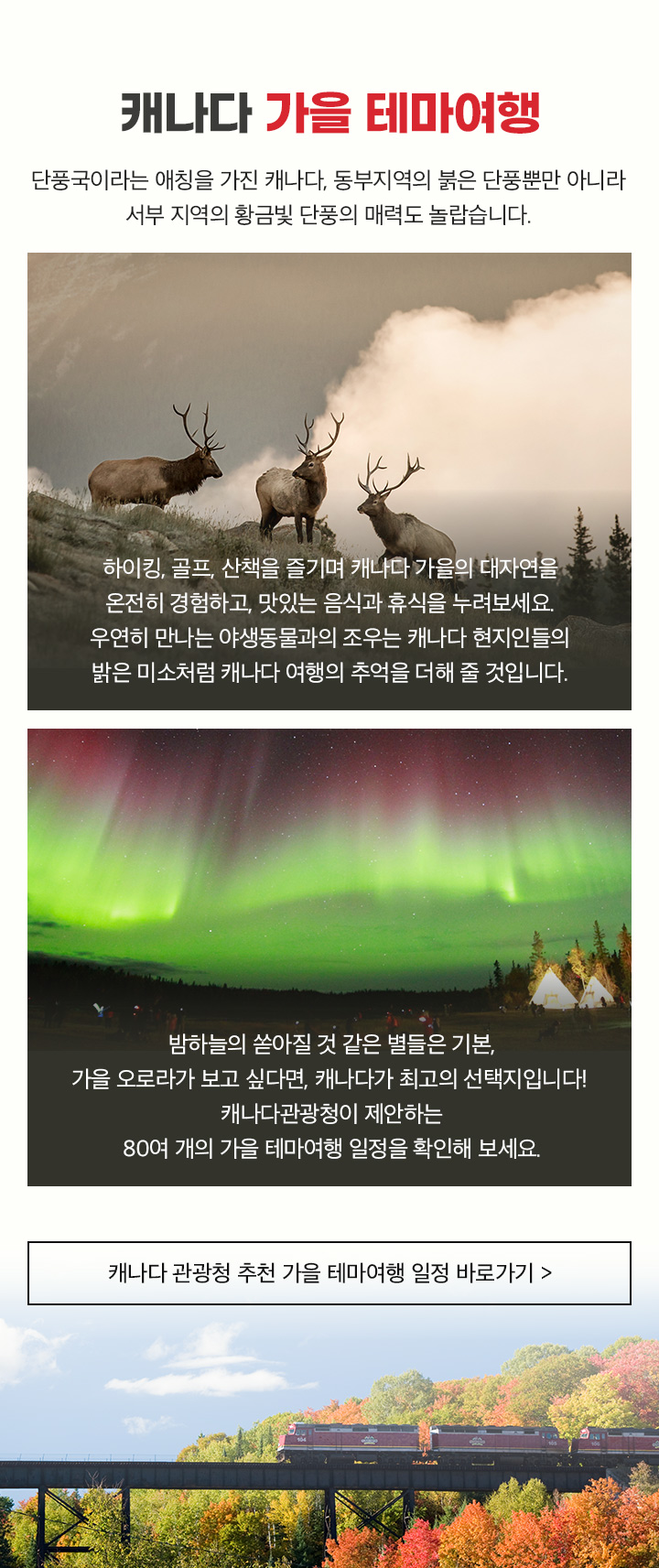캐나다 가을 테마여행