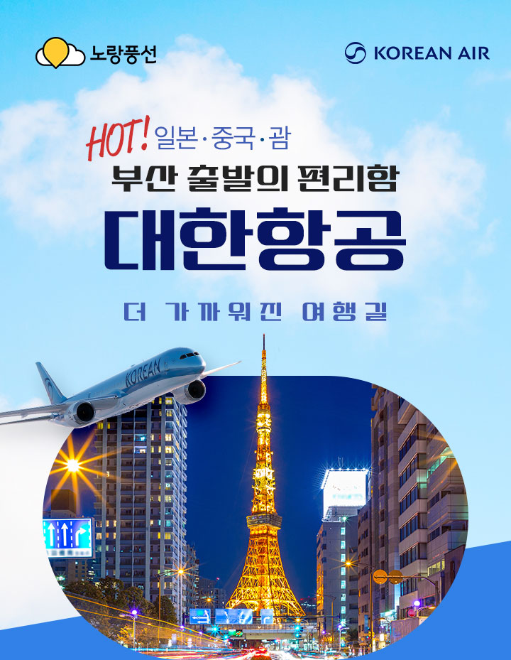 대한항공 아래 설명