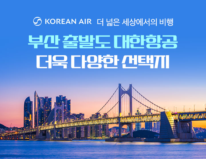 대한항공 아래 설명
