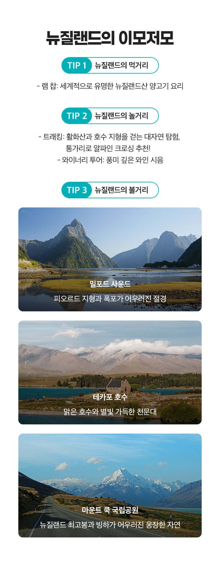 뉴질랜드의 이모저모 아래 설명