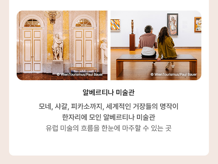 루프트한자, 스위스 항공, 아래 설명