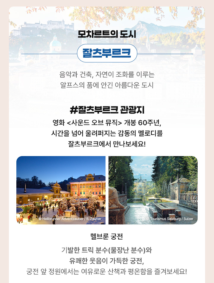 루프트한자, 스위스 항공, 아래 설명