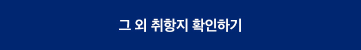 핀에어 그 외 취항지 확인하기