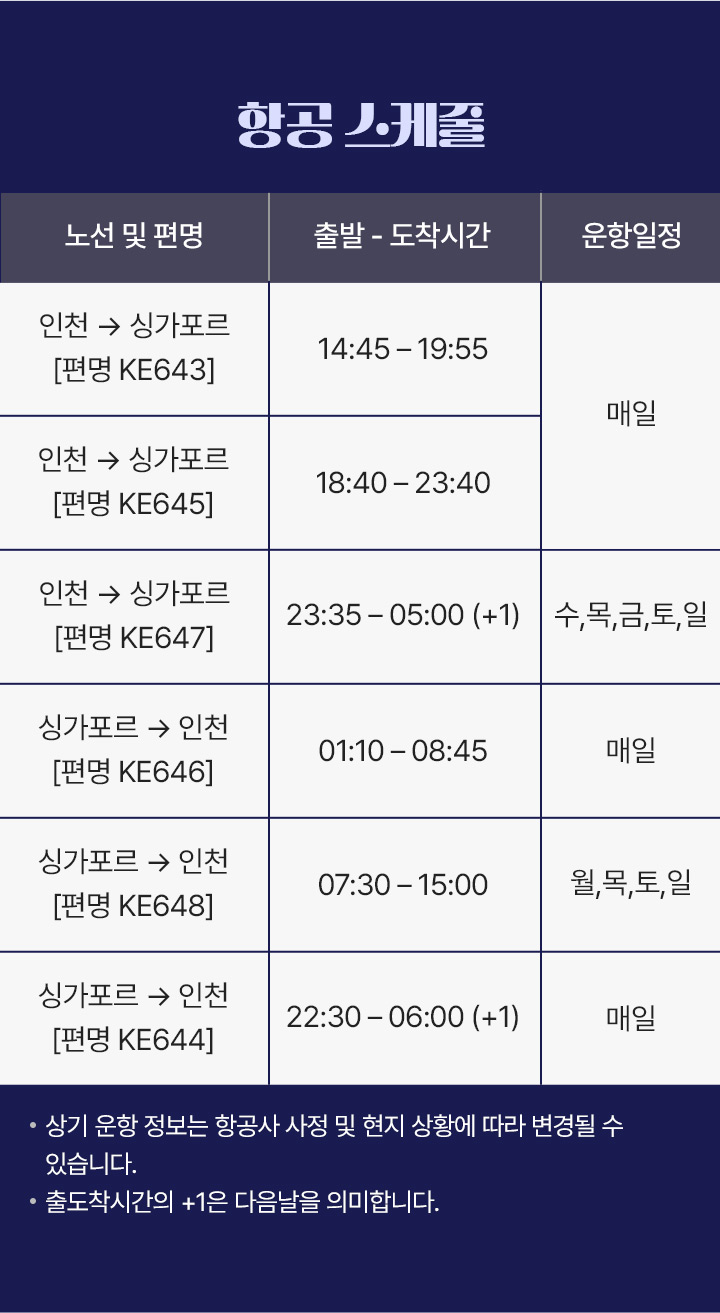 대한항공 서비스