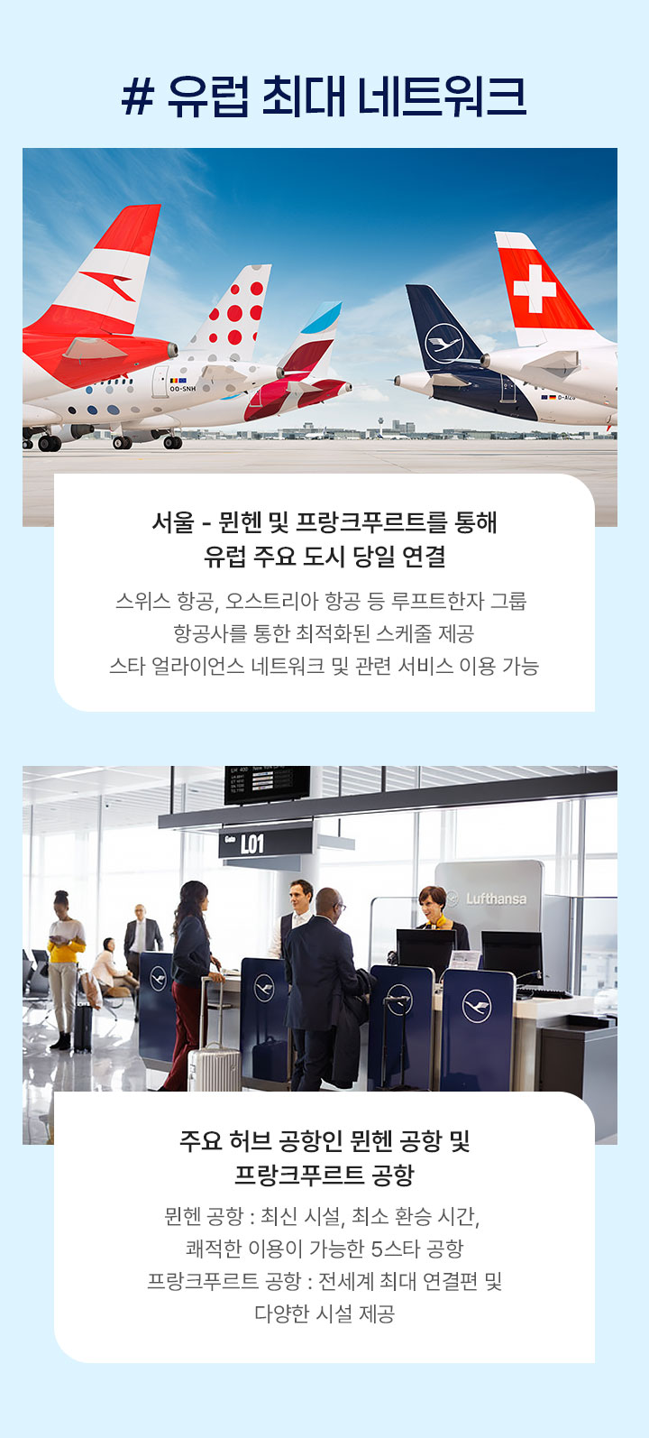 유럽 최대 네트워크 아래설명